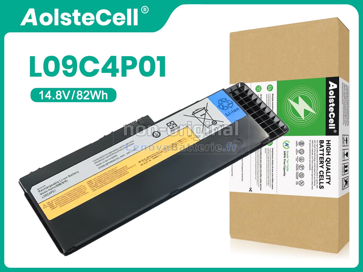 Batterie pour ordinateur portable Lenovo L09C4P01